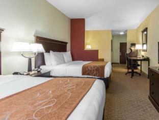 Comfort Suites Cullman I-65 Exit 310 - Cullman - 6