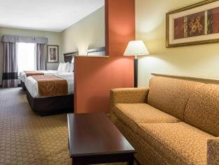 Comfort Suites Cullman I-65 Exit 310 - Cullman - 4