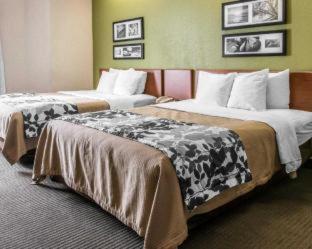 Baymont by Wyndham Milan - Milan - 5