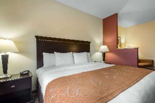 Comfort Suites Cullman I-65 Exit 310 - Cullman - 2