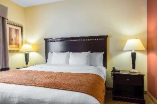 Comfort Suites Cullman I-65 Exit 310 - Cullman - 1