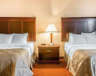 Clarion Inn & Suites Grand Rapids Airport - Grand Rapids - 4