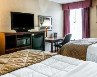 Clarion Inn & Suites Grand Rapids Airport - Grand Rapids - 2