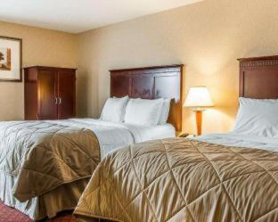 Clarion Inn & Suites Grand Rapids Airport - Grand Rapids - 1