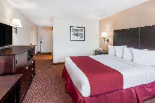 Ramada by Wyndham Grayling Hotel & Conference Center - Grayling - 7
