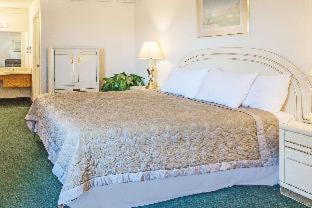 Super 8 by Wyndham Lindsay Olive Tree - Lindsay - 1
