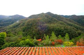 La Favorita Apricale B&B & Ristorante - Apricale - 5