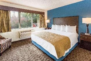 AmericInn by Wyndham Hotel and Suites Long Lake - Long Lake - 3