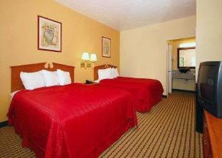 Quality Inn & Suites Dickson - Dickson - 7