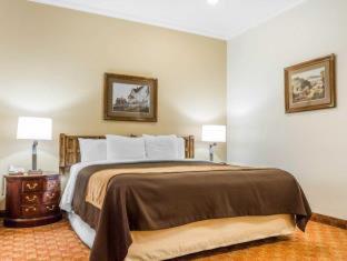 Comfort Inn Monterey Peninsula Airport - Monterey - 2