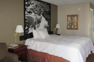 Econo Lodge Inn & Suites Manchester North - Manchester - 1