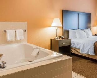 Quality Inn & Suites Niles - 4