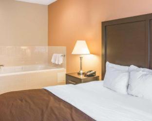 Quality Inn & Suites Niles - 3