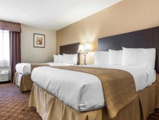 Quality Inn & Suites Coliseum - Greensboro - 6