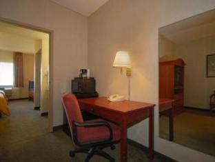 Comfort Suites Chicago O'Hare Airport - 4