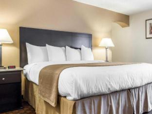 Quality Inn & Suites Coliseum - Greensboro - 3