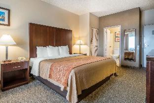 Comfort Inn & Suites Seattle North - Seattle - 8