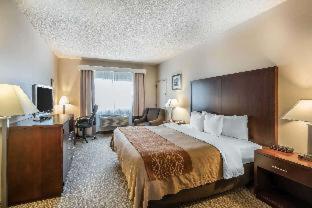 Comfort Inn & Suites Seattle North - Seattle - 7