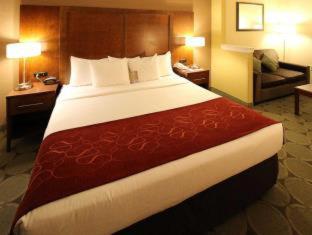 Comfort Suites Near University - North Brunswick - 6