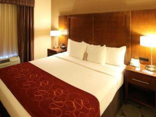 Comfort Suites Near University - North Brunswick - 5