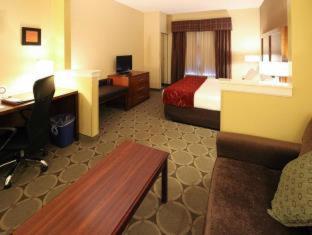 Comfort Suites Near University - North Brunswick - 4