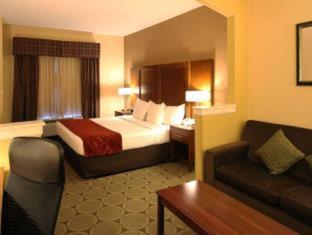 Comfort Suites Near University - North Brunswick - 3