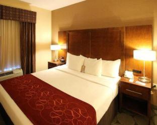 Comfort Suites Near University - North Brunswick - 2