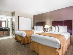Quality Inn & Suites By the Parks - Orlando - 5