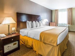 Quality Inn & Suites By the Parks - Orlando - 4