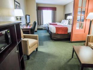 Comfort Suites Orlando Airport - 3