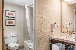 Comfort Inn Pine Grove I-81 Hershey Area - Pine Grove - 9