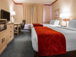 Comfort Suites Peoria Sports Complex - 5