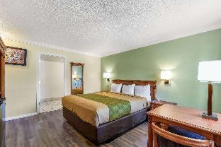 Econo Lodge Woodland near I-5 - Woodland - 2