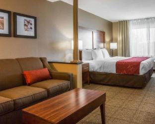 Comfort Suites Victorville-Hesperia - Victorville - 3