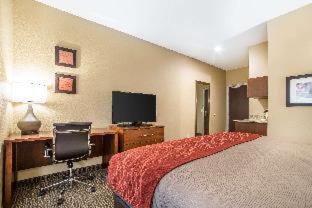 Comfort Inn & Suites Near Mt Rushmore - 9