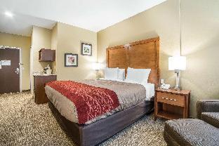 Comfort Inn & Suites Near Mt Rushmore - 8