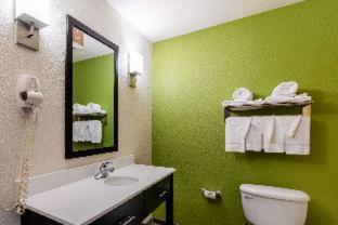 Spark by Hilton Killeen - Killeen - 9