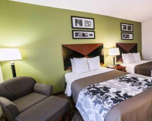 Spark by Hilton Killeen - 3