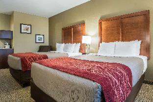 Comfort Inn & Suites Near Mt Rushmore - 3