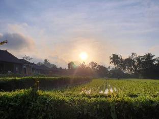 Kayangan Villa Ubud - Tegalalang - 9