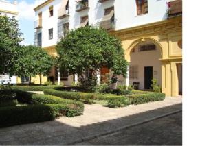 Céntrico y amplio apartamento 100% equipado - Jerez de la Frontera - 8