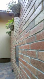 Golden Apartman - 1