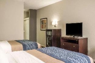 Comfort Inn Sandusky - Sandusky - 8