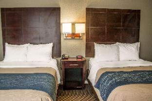 Comfort Inn Sandusky - Sandusky - 7