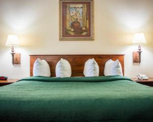 Quality Inn - Weeki Wachee - 9