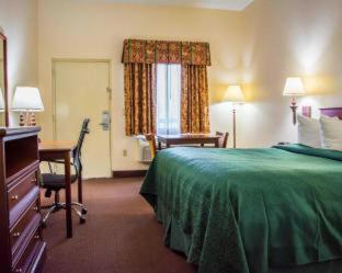 Quality Inn - Weeki Wachee - 8