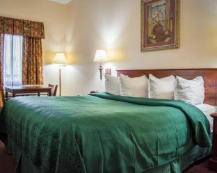 Quality Inn - Weeki Wachee - 5