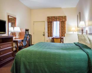 Quality Inn - Weeki Wachee - 4