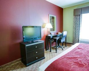 Comfort Suites Old Town Spring - 4
