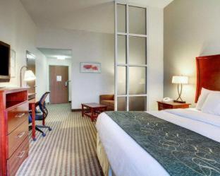 Comfort Suites Vicksburg - Vicksburg - 5